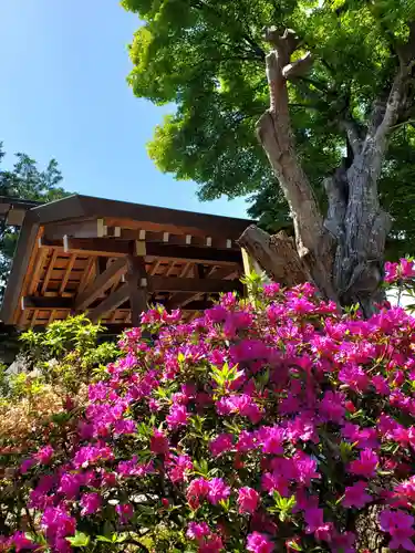 開成山大神宮(福島県)