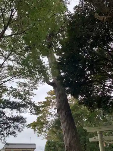 稲生神社(千葉県)