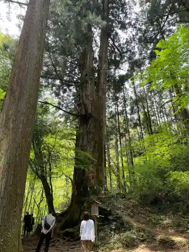 花園神社(茨城県)