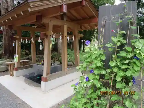 高司神社〜むすびの神の鎮まる社〜の手水