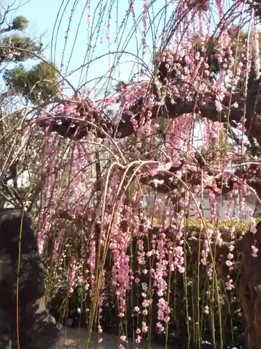 綱敷天満宮の自然
