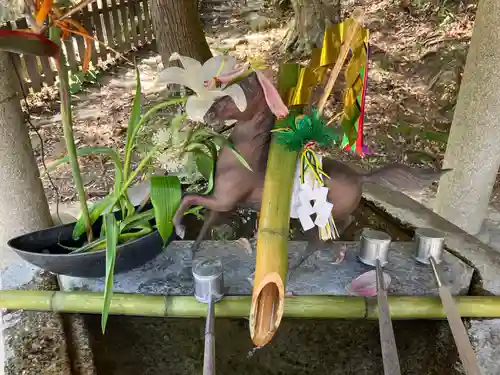 相馬中村神社(福島県)