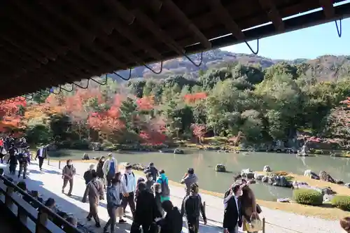 天龍寺の庭園