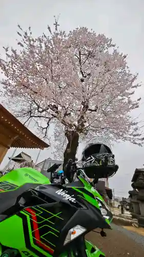 秩父札所十三番 慈眼寺の{uncategorized: "未分類", other: "その他", undefined: "問題あり", building: "その他建物", grave: "お墓", sacred_gate: "鳥居", guardian: "狛犬", statue: "像", buddha: "仏像", history: "歴史", nature: "自然", garden: "庭園", animal: "動物", pagoda: "塔", temizu: "手水舎", mountain_gate: "山門・神門", sanctuary: "本殿・本堂", subordinate: "末社・摂社", art: "芸術", scenery: "景色", jizo: "地蔵", ema: "絵馬", goshuin: "御朱印", omikuji: "おみくじ", items: "授与品その他", amulet: "お守り", goshuincho: "御朱印帳", eats: "食事", festival: "お祭り", votive_dance: "神楽", shichigosan: "七五三参", wedding: "結婚式", experience: "体験その他", initially: "初詣", around: "周辺", anti_infection: "感染症対策"}