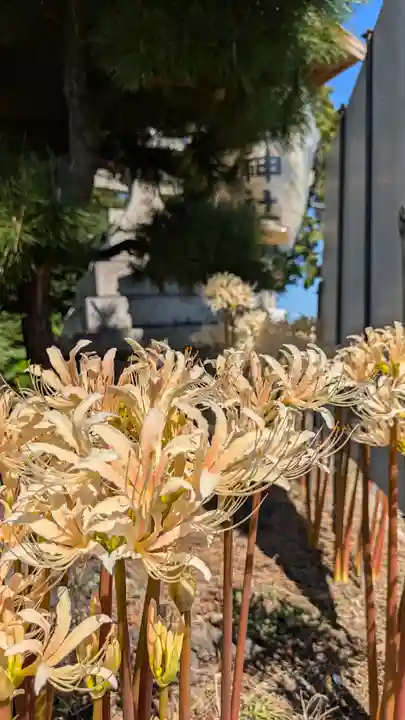 玉田神社(京都府)