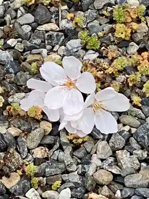 行住院(京都府)