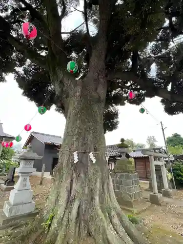 境香取神社(茨城県)
