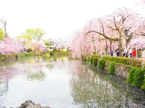 三嶋大社の庭園