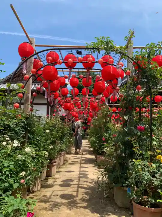 おふさ観音(観音寺)(奈良県)