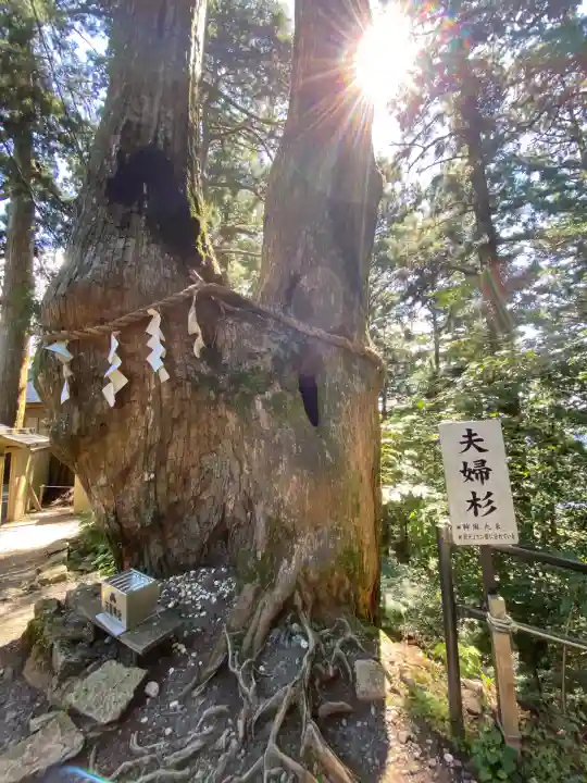 玉置神社(奈良県)