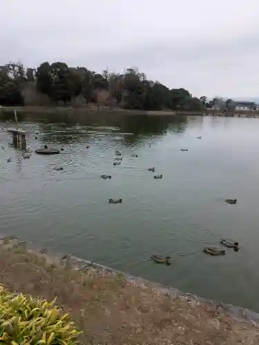 橿原神宮(奈良県)