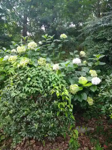 若一王子宮の自然