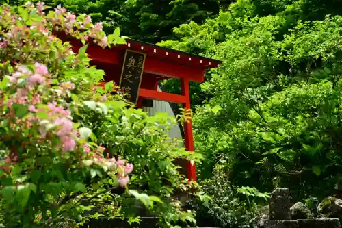 高龍神社　奥之院(新潟県)