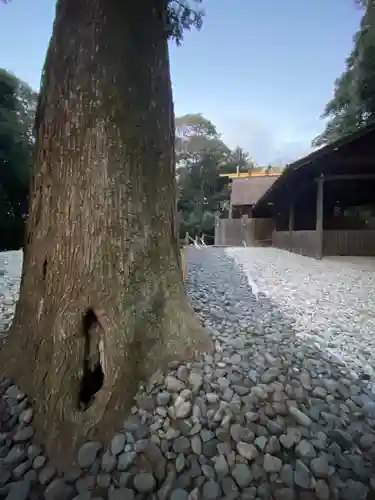 月夜見宮（豊受大神宮別宮）(三重県)