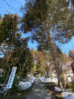 心清水八幡神社のその他建物
