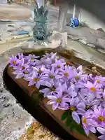 立志神社の手水舎