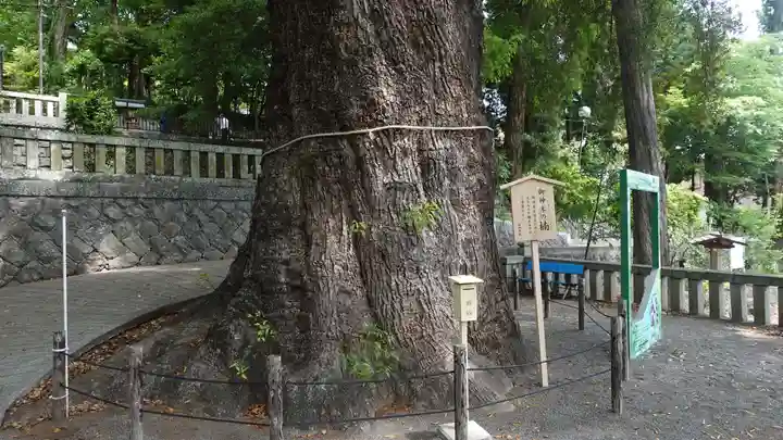 五所神社(神奈川県)