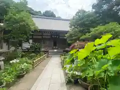 成就院の本殿