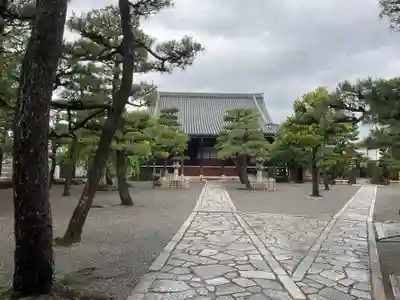 上善寺(京都府)