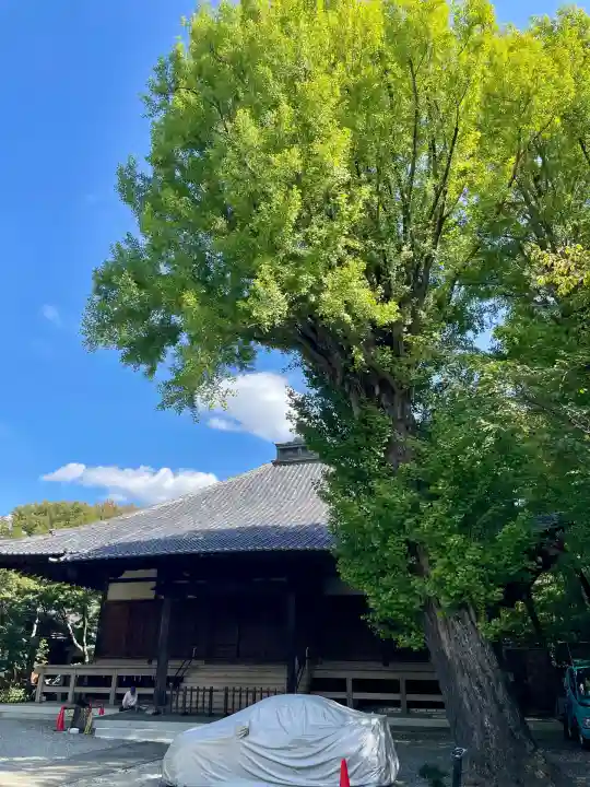 妙光院(東京都)