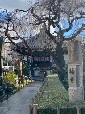 地蔵院（椿寺）の本殿・本堂