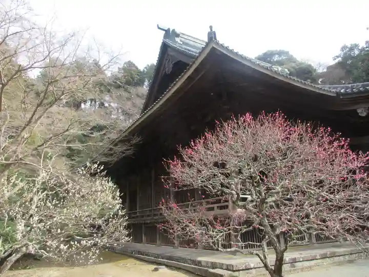 妙本寺のその他建物