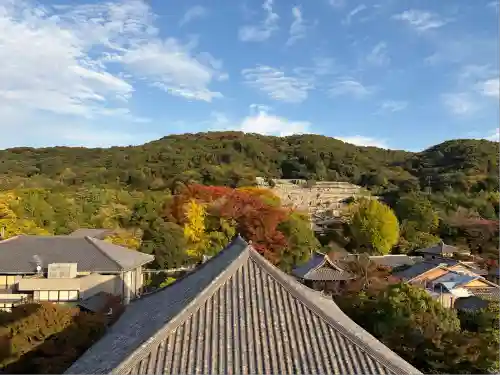 大雲院(京都府)