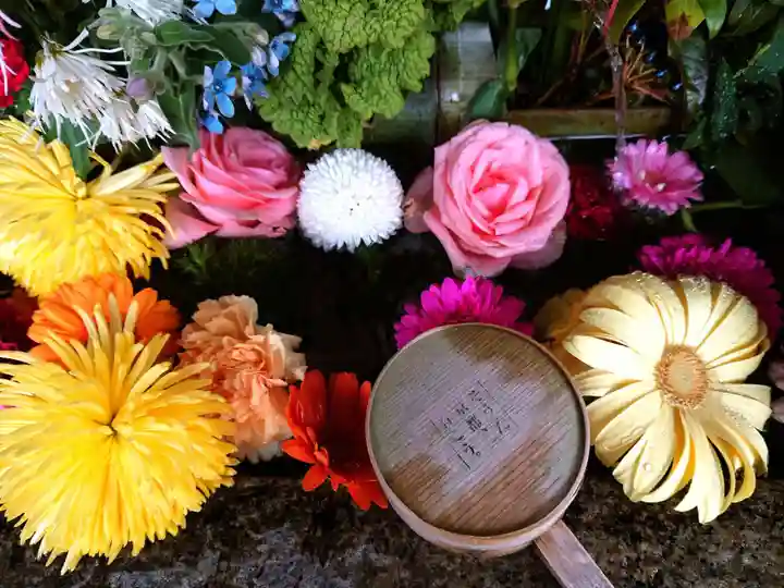 勝林寺(京都府)