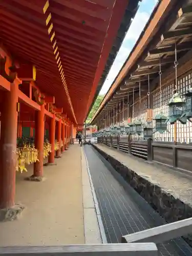 春日大社(奈良県)