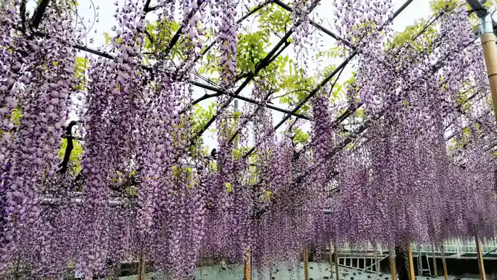 白旗神社(神奈川県)