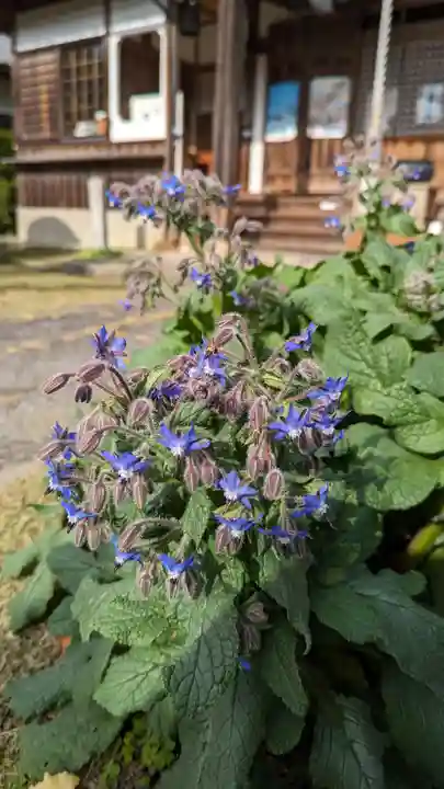 乗願寺(京都府)