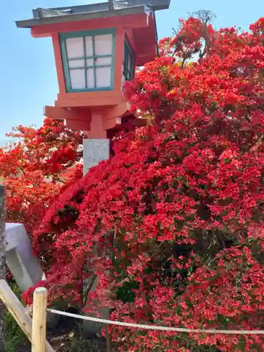 長岡天満宮の庭園