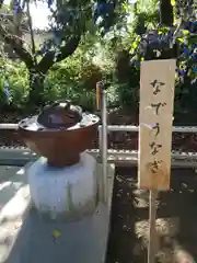 星宮神社の建物その他