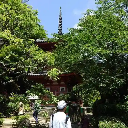 三室戸寺の建物その他