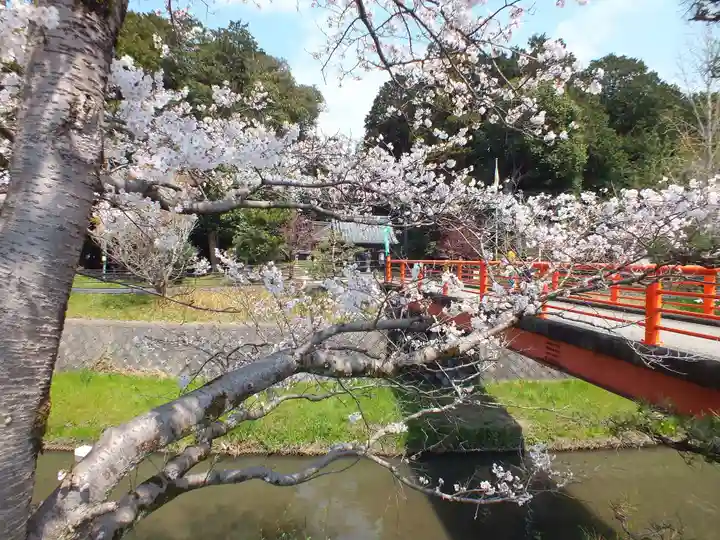 菌神社(滋賀県)