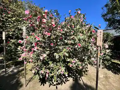 城南宮(京都府)