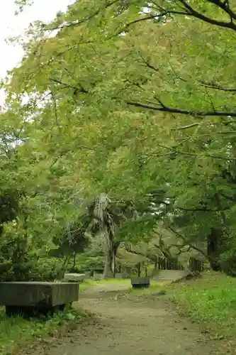 南湖神社の自然