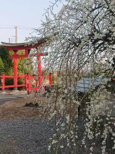 石母田　三吉神社(福島県)