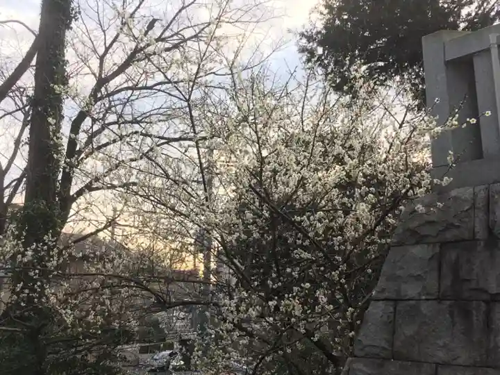 長津田王子神社の自然
