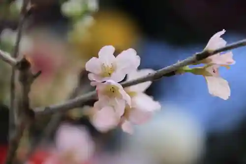 滑川神社 - 仕事と子どもの守り神の手水