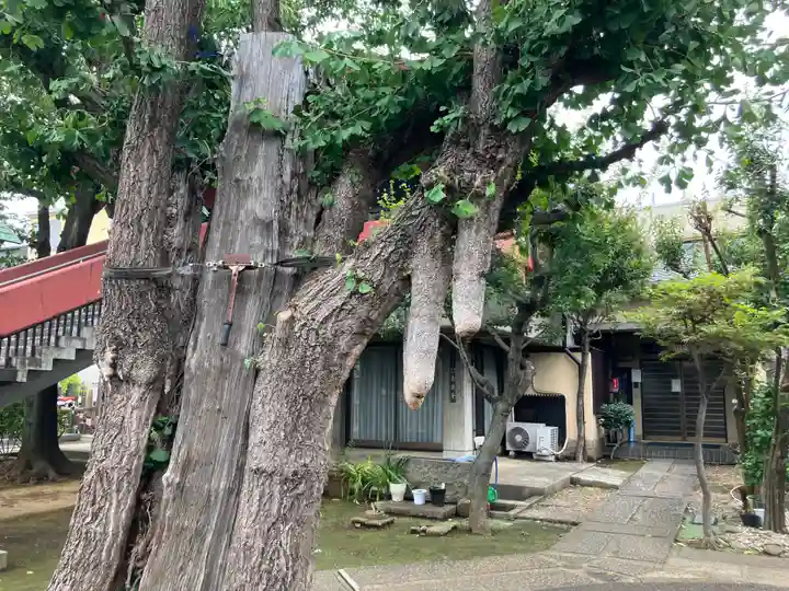 寿徳寺(東京都)