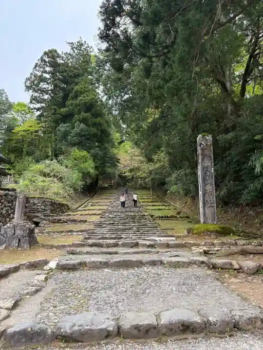 平泉寺白山神社の{uncategorized: "未分類", other: "その他", undefined: "問題あり", building: "その他建物", grave: "お墓", sacred_gate: "鳥居", guardian: "狛犬", statue: "像", buddha: "仏像", history: "歴史", nature: "自然", garden: "庭園", animal: "動物", pagoda: "塔", temizu: "手水舎", mountain_gate: "山門・神門", sanctuary: "本殿・本堂", subordinate: "末社・摂社", art: "芸術", scenery: "景色", jizo: "地蔵", ema: "絵馬", goshuin: "御朱印", omikuji: "おみくじ", items: "授与品その他", amulet: "お守り", goshuincho: "御朱印帳", eats: "食事", festival: "お祭り", votive_dance: "神楽", shichigosan: "七五三参", wedding: "結婚式", experience: "体験その他", initially: "初詣", around: "周辺", anti_infection: "感染症対策"}