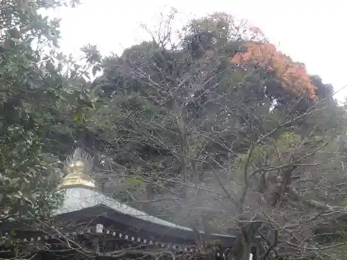 長勝寺の景色