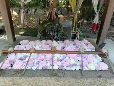 清洲山王宮　日吉神社の手水舎