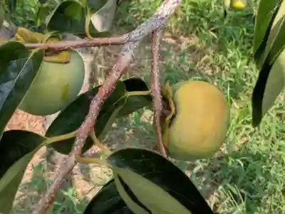 智勝院(岐阜県)