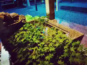 滑川神社 - 仕事と子どもの守り神の手水舎(2020年07月27日(月) 19時17分44秒投稿)