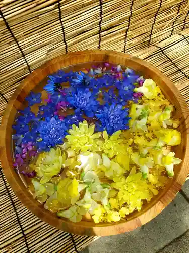 阿邪訶根神社の手水