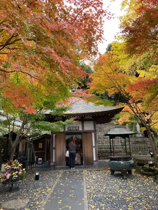 長谷寺(神奈川県)