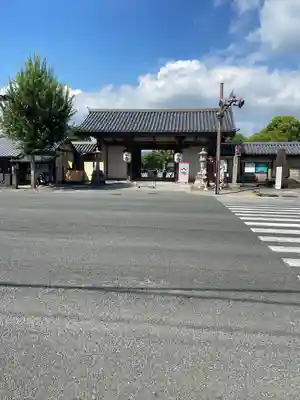 東寺（教王護国寺）(京都府)