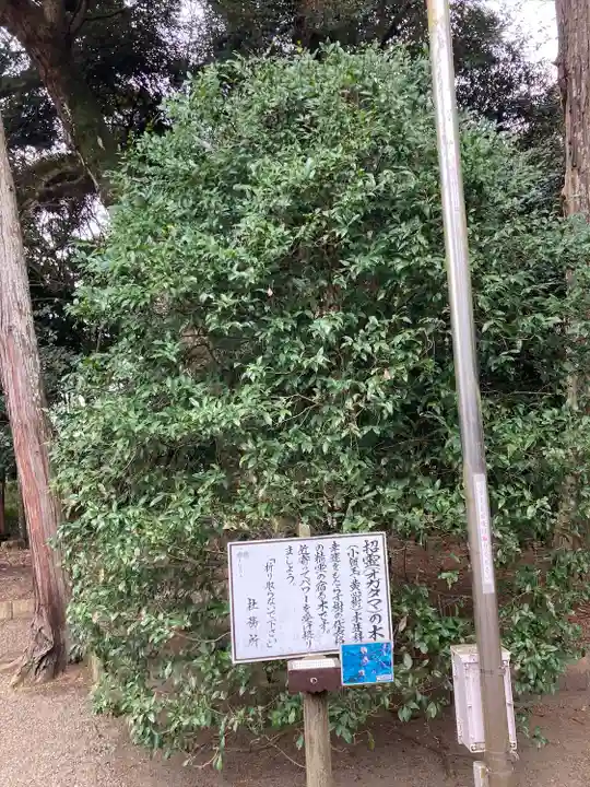 息栖神社(茨城県)